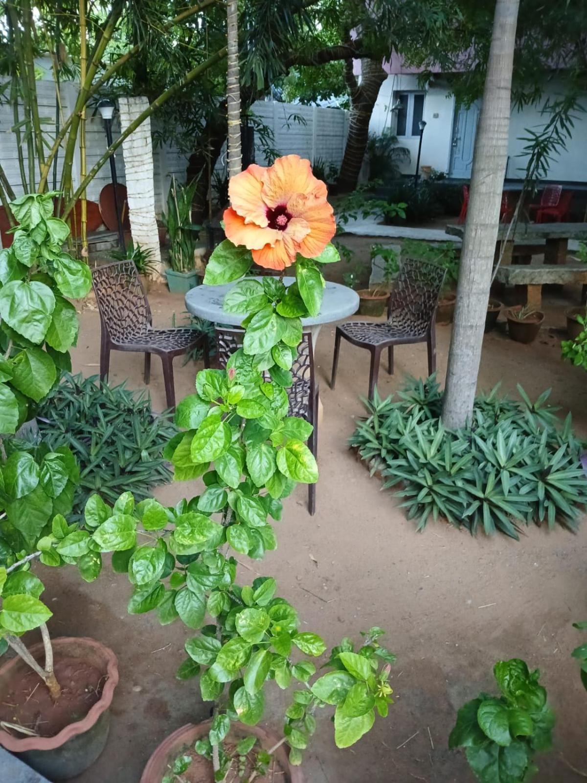 The Well Beach Side Guest House Όρβιλ Εξωτερικό φωτογραφία